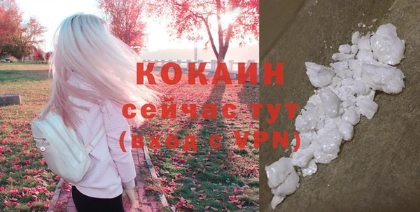 мдпв Осинники