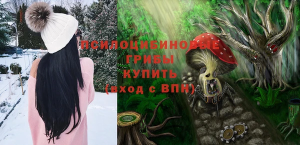 стаф Пересвет