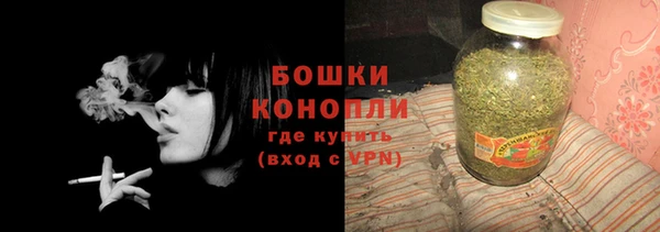 мдпв Осинники