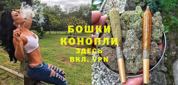 сатива Переславль-Залесский