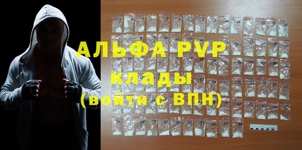 стаф Пересвет