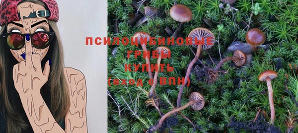каннабис Пестово