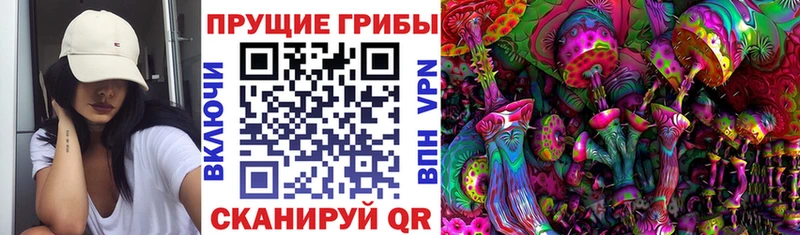 купить наркотик  Балахна  Псилоцибиновые грибы Psilocybine cubensis 