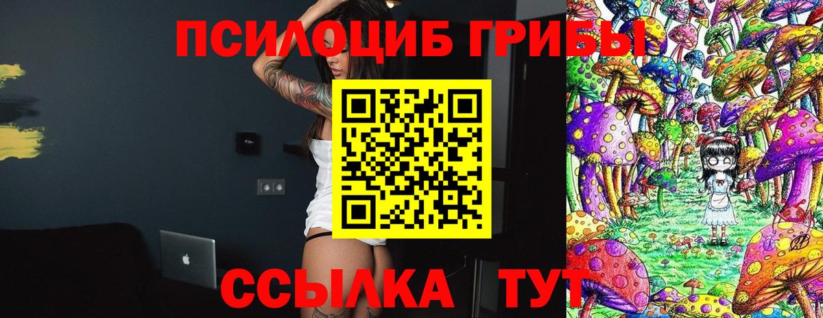 Псилоцибиновые грибы прущие грибы  даркнет сайт  Галлюциногенные грибы GOLDEN TEACHER  Балахна 