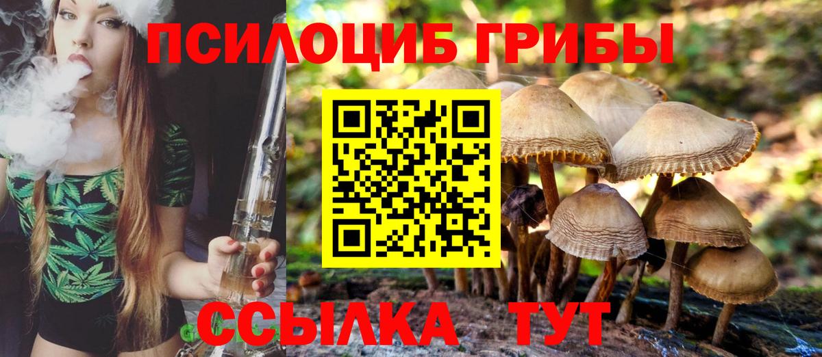 Балахна  Псилоцибиновые грибы GOLDEN TEACHER  Вход с VPN 