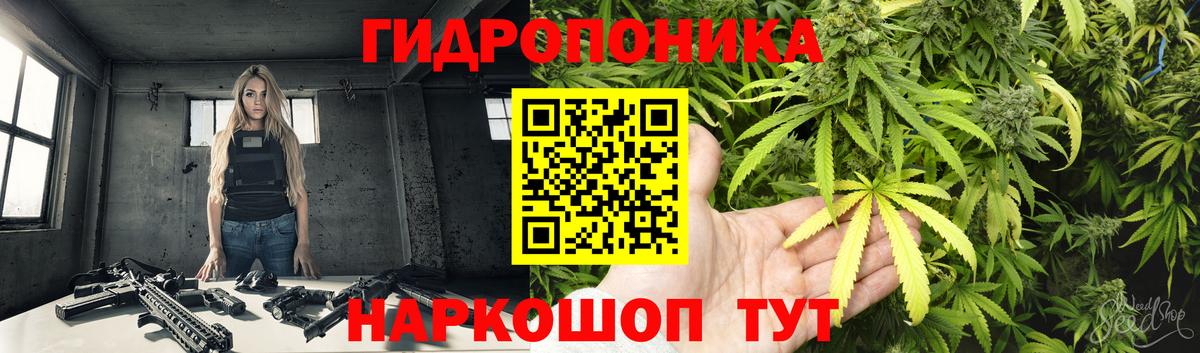 Шишки марихуана индика Балахна